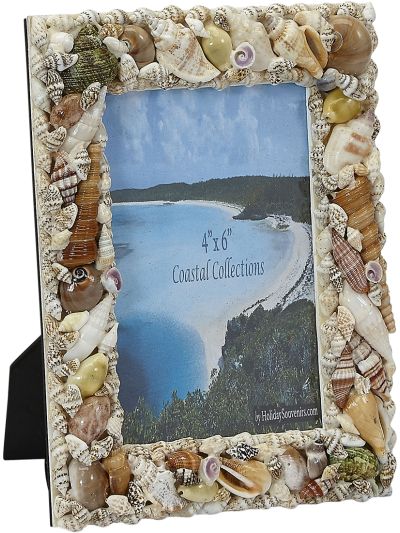 Natural Shells Photo Frame with Plexiglass 4x6"