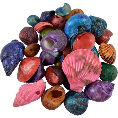 Dyed Small Shells Bag 1 Kilo (appx. 2500 pc)