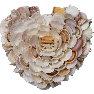 Pecten Shell Decorative Heart 11x10"