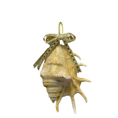 2 Lambis Christmas Holidays Ornaments 3-4" (Set of 2)