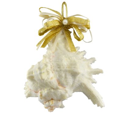 2 Murex Christmas Holidays Ornaments 3-4" (Set of 2)