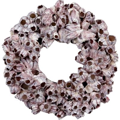 Barnacle Wreath 15"