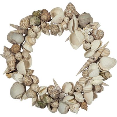 Large Assorted Seashell Wreath 11"