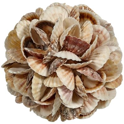 Mixed Pecten Shells Orb 6"
