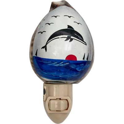 Painted Dolphin Boxed LED Night Light
