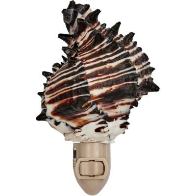 Black Murex Boxed LED Night Light